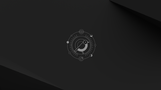 The Ubuntu 24.10 (Oracular Oriole) wallpaper.