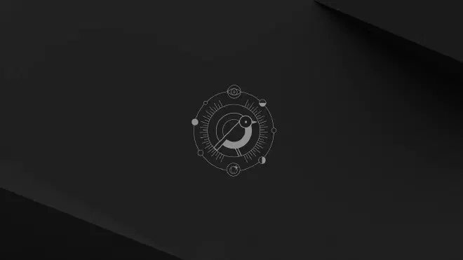 The Ubuntu 24.10 (Oracular Oriole) wallpaper.