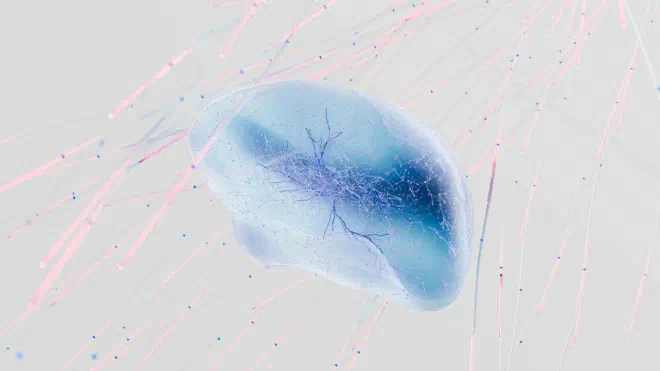 An abstract image of brain and neural connections
