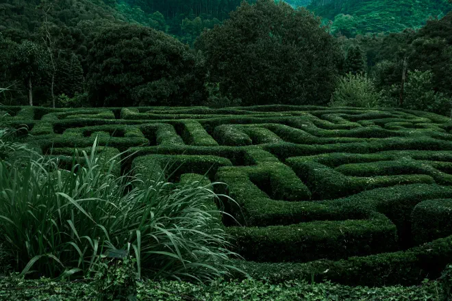 An abstract photograph of a maze nestled within some rolling, green
hills.
